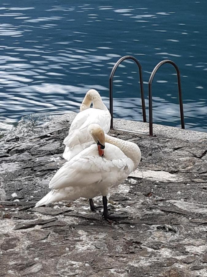 Casa con vista lago a Nesso Esterno foto